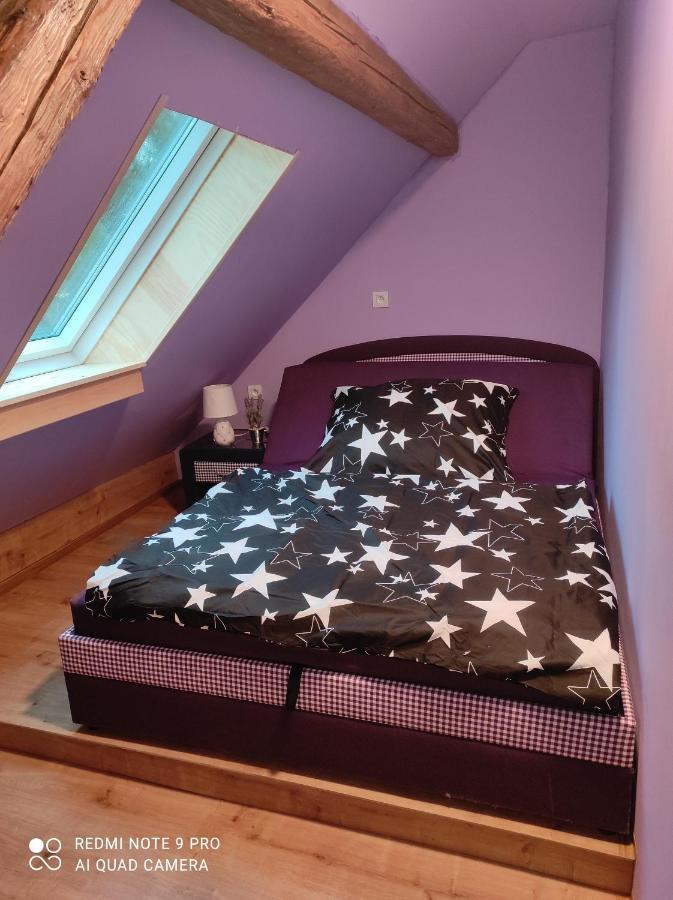 Apartman Sumava U Rybaku Volenice  Εξωτερικό φωτογραφία