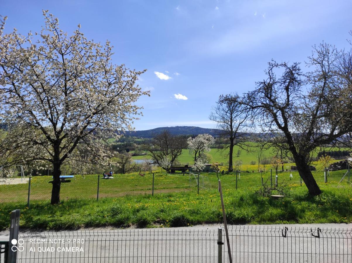 Apartman Sumava U Rybaku Volenice  Εξωτερικό φωτογραφία